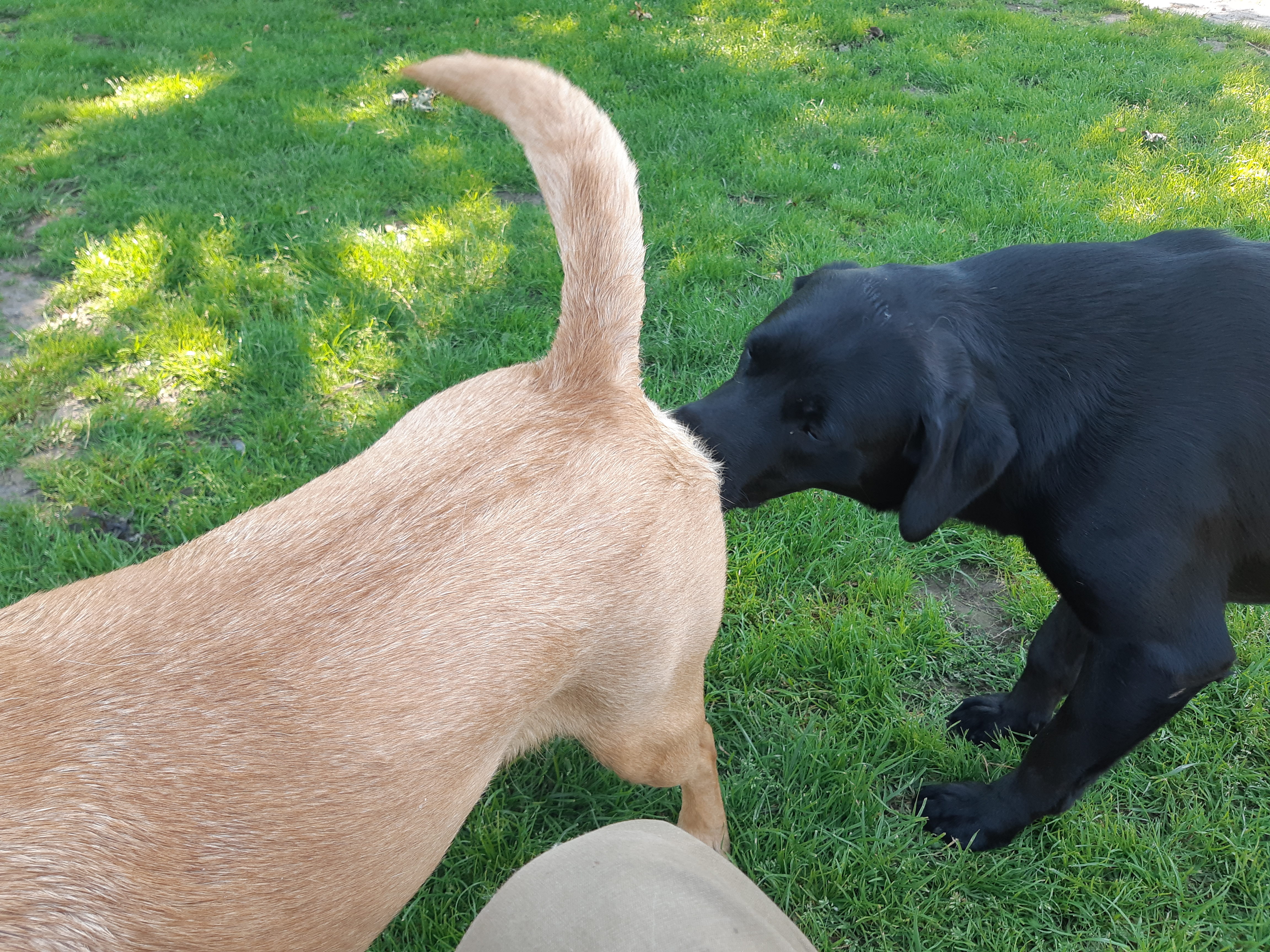 Maggie og Marco 9. juli 2023
