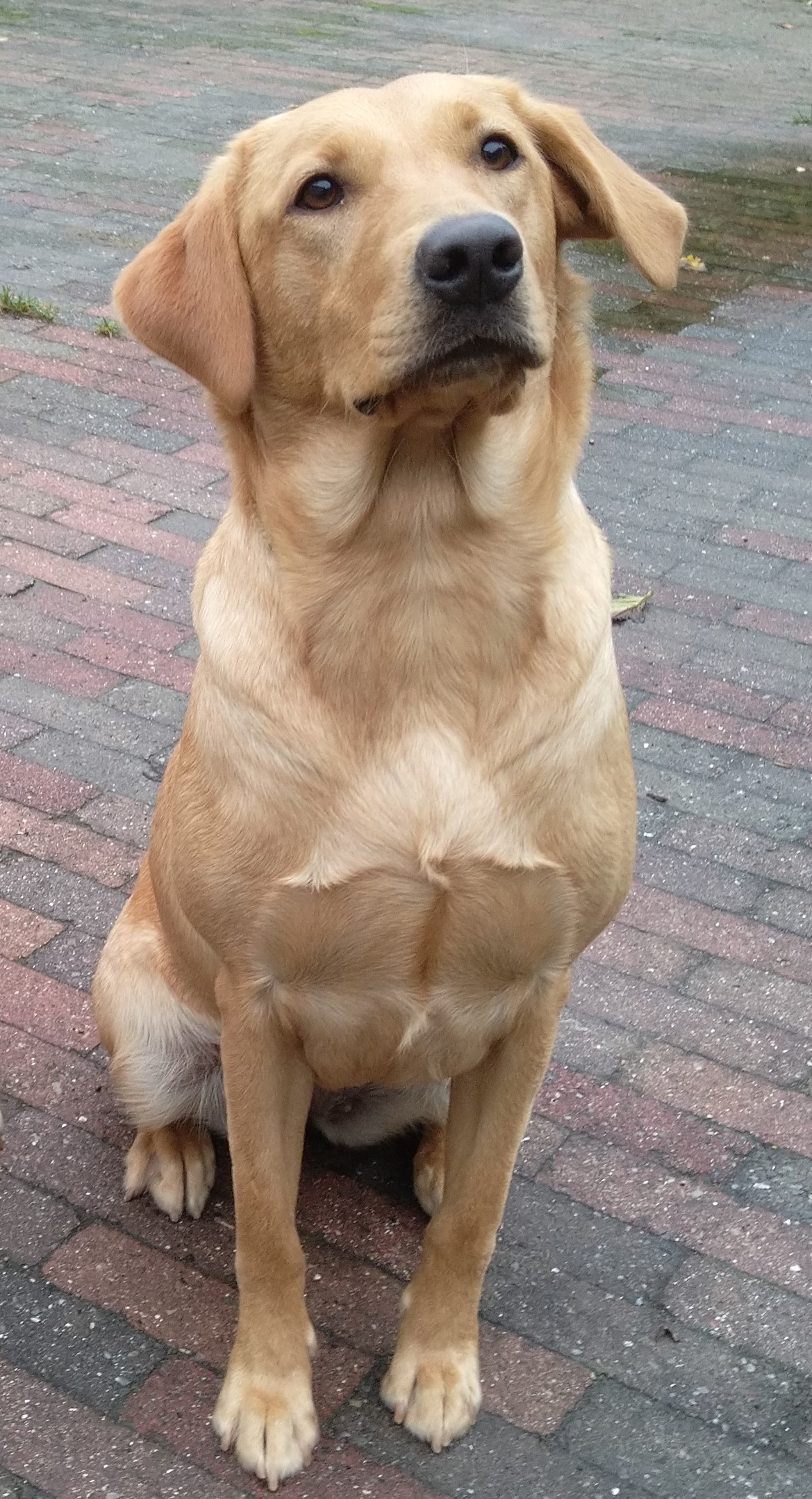 Maggie 2021