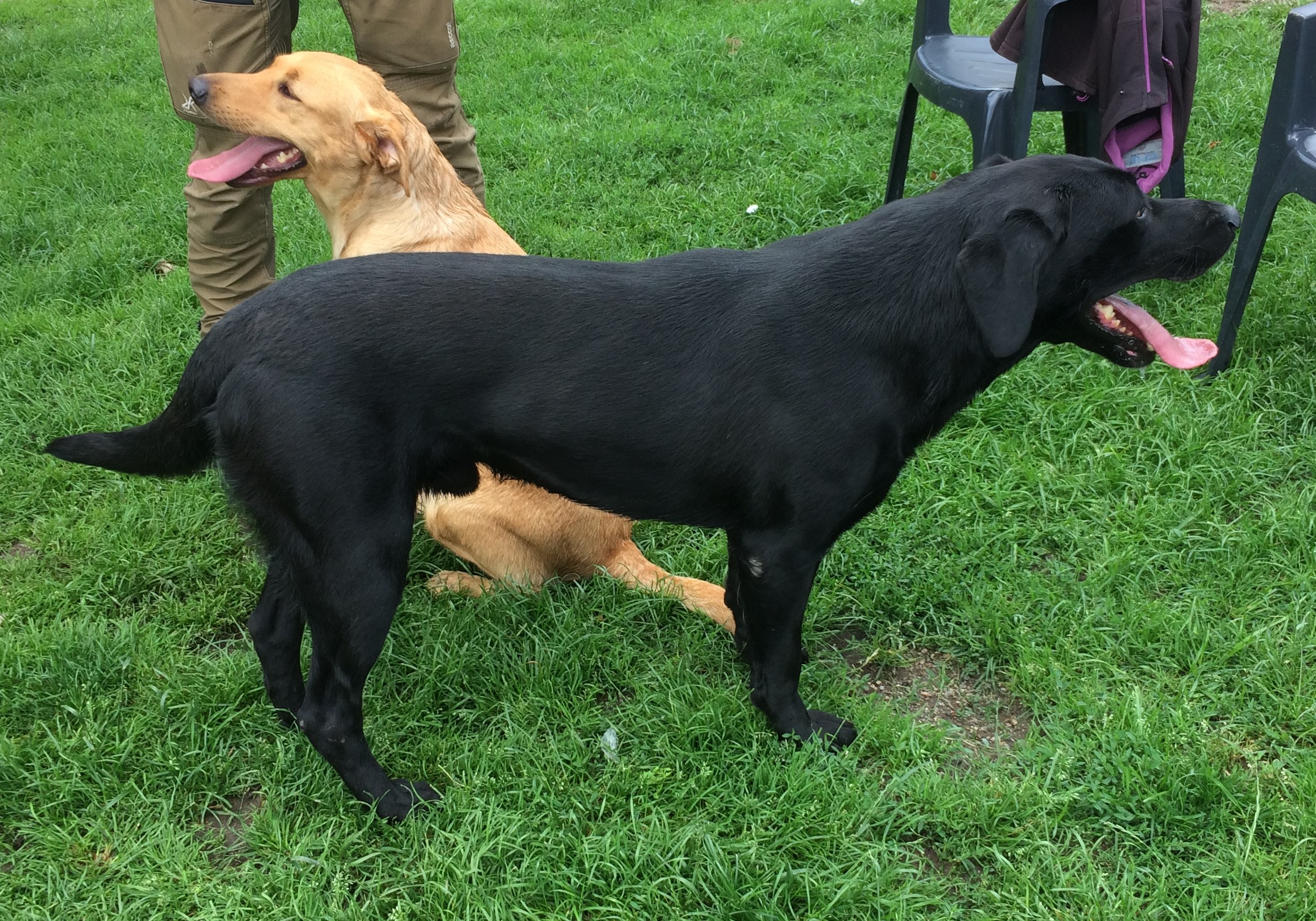 Maggie og Marco